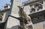Another dog-like creature on the Stephansdom in Vienna