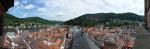 Heidelberg panorama I